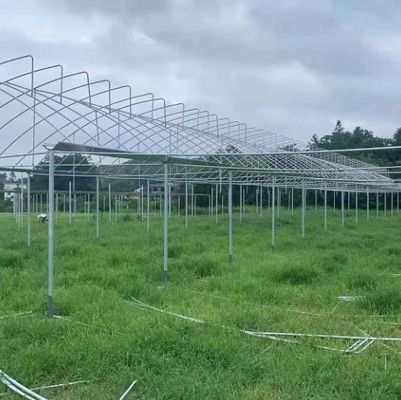 Plastic Film Polytunnel Greenhouse Sawtooth Greenhouse 10X30m