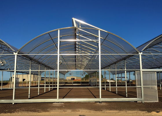 Plastic Film Polytunnel Greenhouse Sawtooth Greenhouse 10X30m