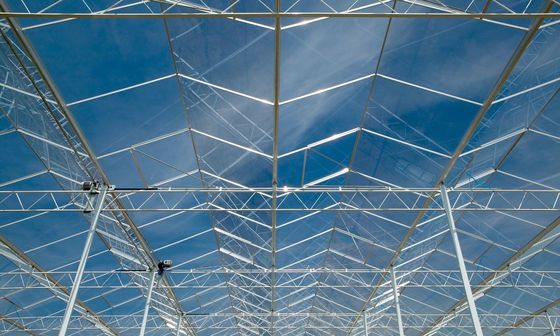 Прозрачная стеклянная теплица с алюминиевыми цинковыми трубами