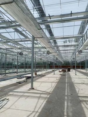 Современная прямоугольная стеклянная теплица с долговечностью и защитой от УФ