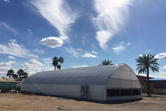 Алюминиевое цинковое покрытие Пластиковая пленка Теплица УФ защищенная световой передачей Анти-старение Анти-капли