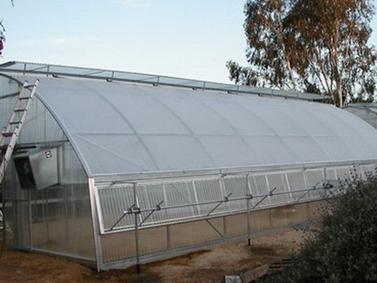Plastic Film Polytunnel Greenhouse Sawtooth Greenhouse 10X30m