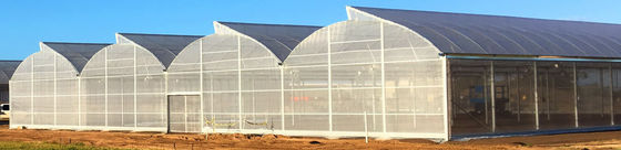 Transparent Plastic Film Greenhouse for Long Lasting Performance
