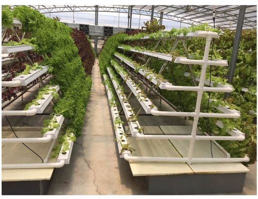 Система гидропонического выращивания с автоматическим поливом